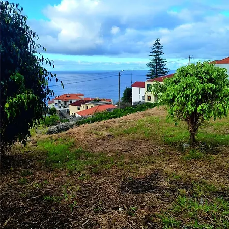 Blissful Haven - Soulful Porto Moniz